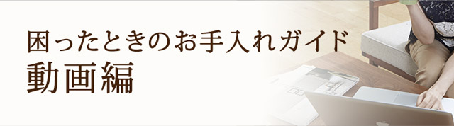 困ったときのお手入れガイド　動画編