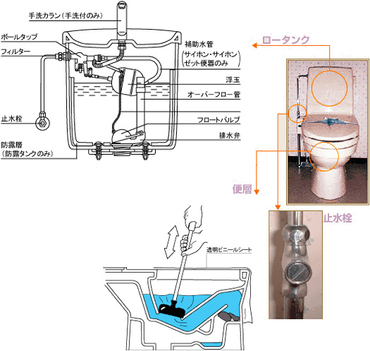 マメ知識「トイレの構造」